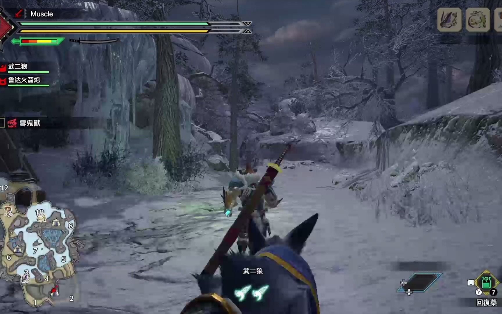 怪物猎人rise6星任务雪鬼兽