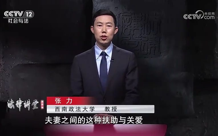 西南政法大学张力教授央视开讲:《法律讲堂(文史版)》民法典的家风家教观——夫妻的责任与义务.哔哩哔哩bilibili