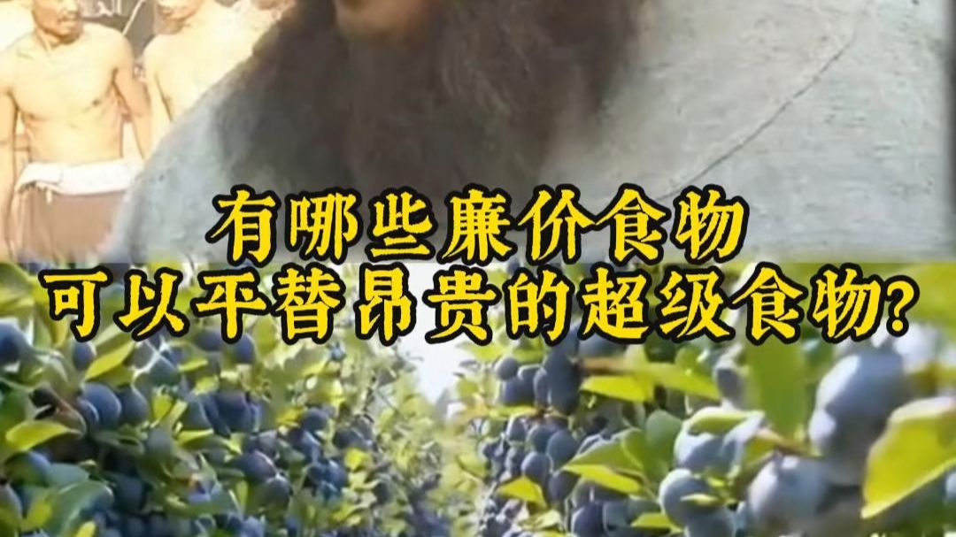 有哪些廉价食物，可以平替昂贵的超级食物？
