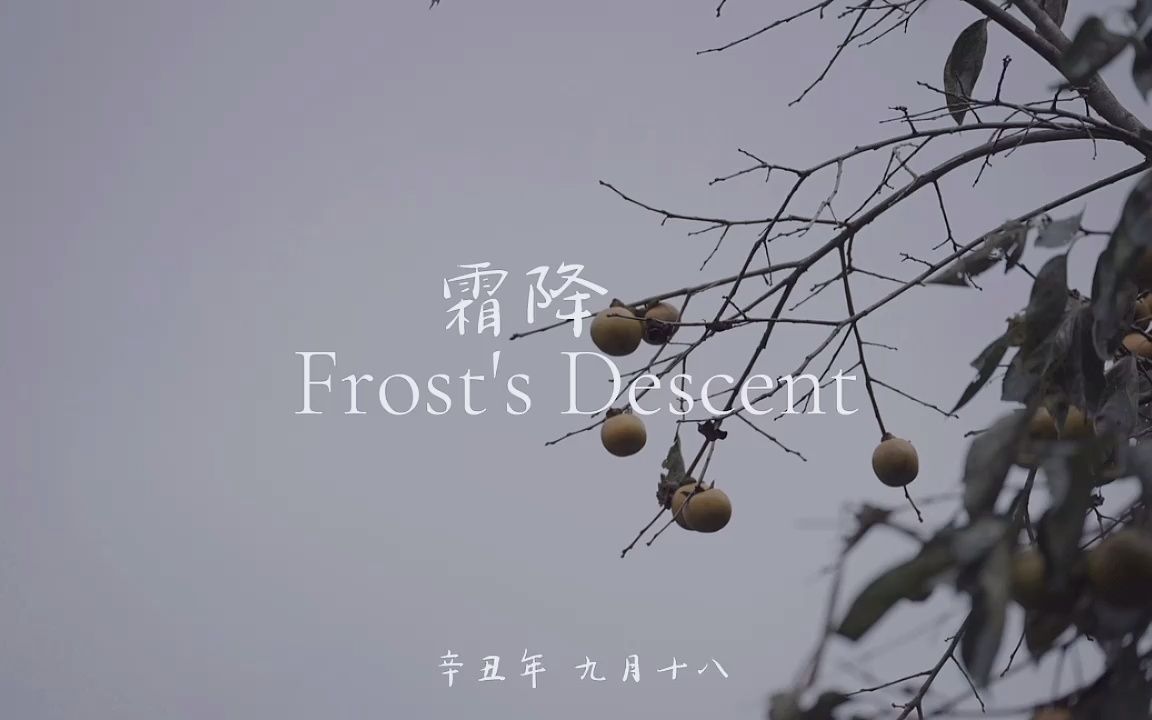 [图]东山大观｜观廿四 霜降 FROST'S DESCENT