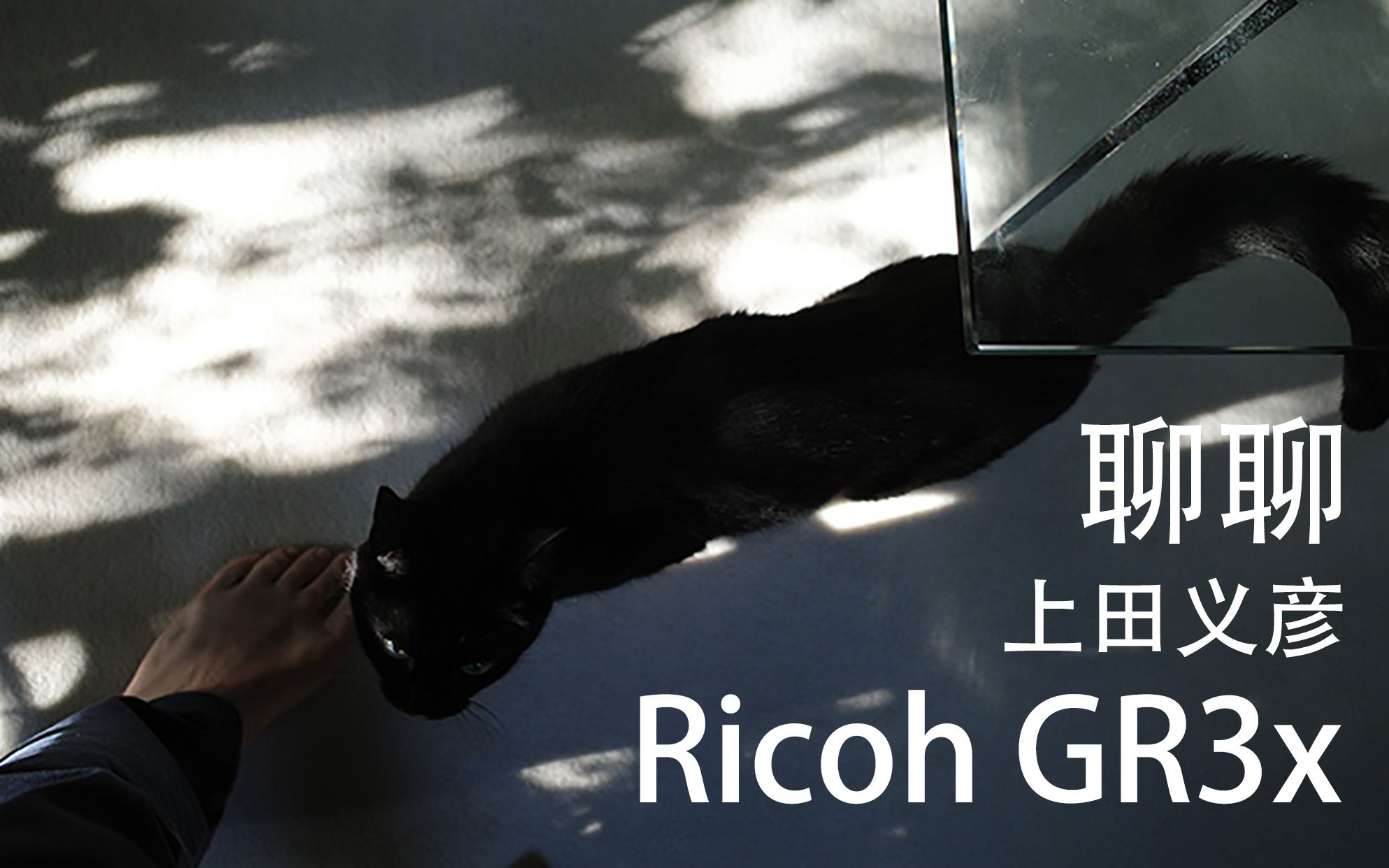 聊聊理光 Ricoh GR3x + 上田义彦的官网样张哔哩哔哩bilibili