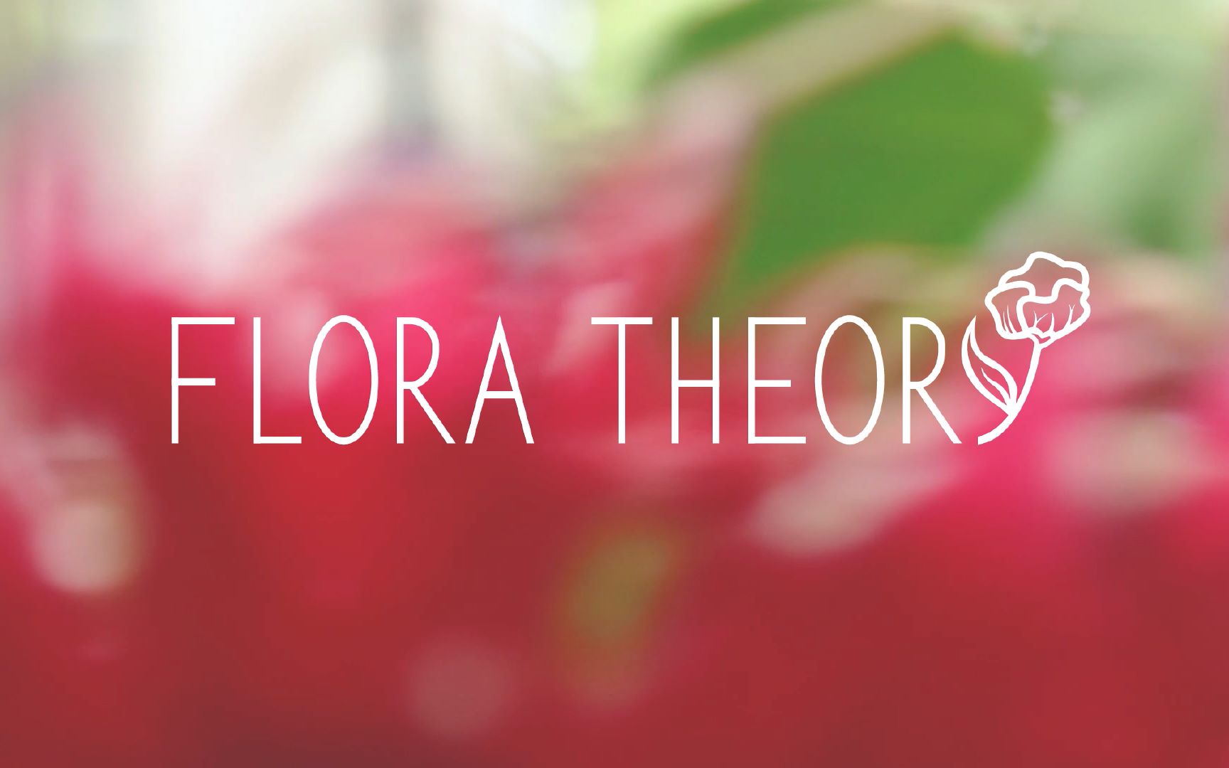 Flora Theory 花艺品牌宣传视频哔哩哔哩bilibili