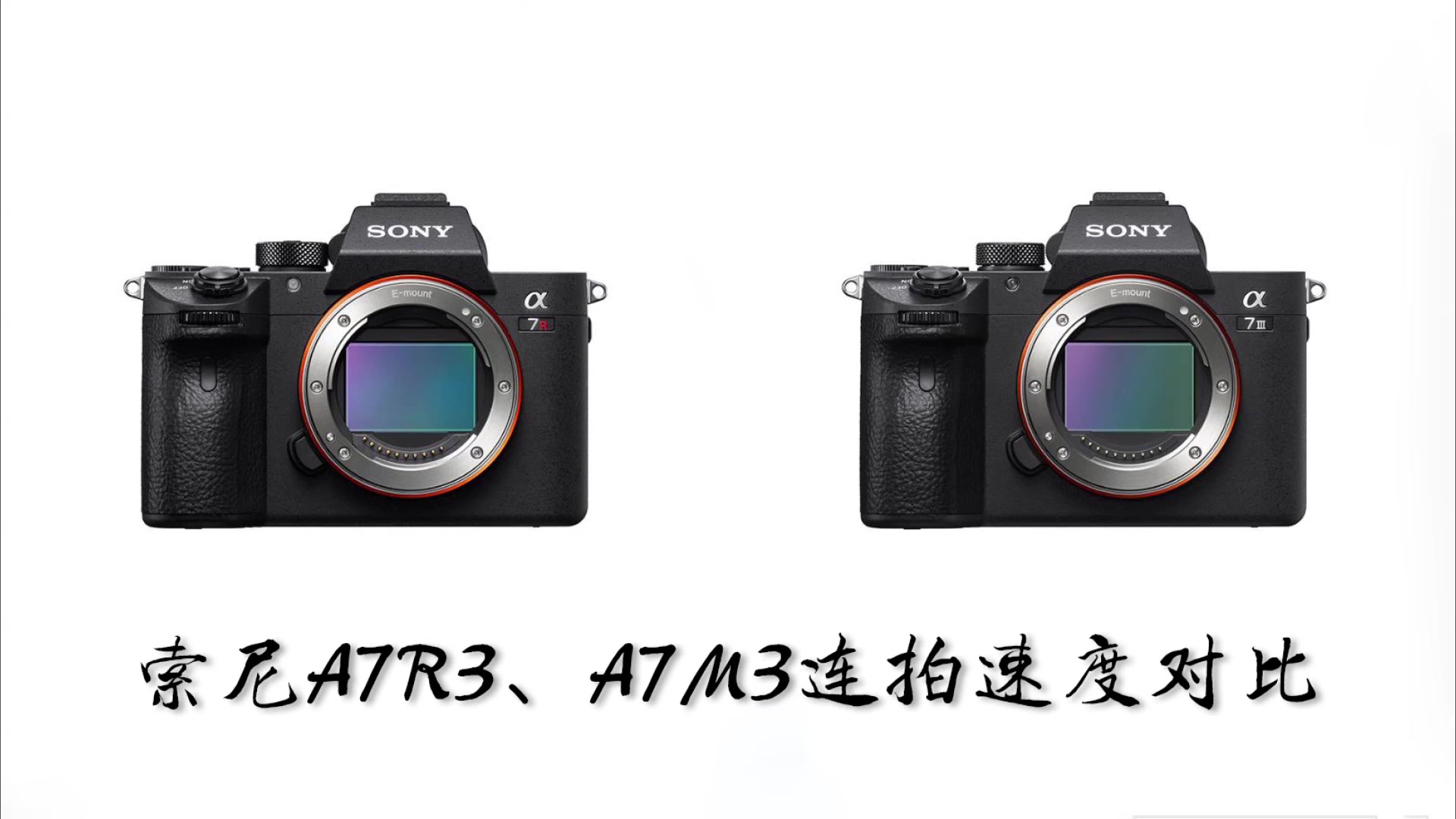 索尼a7r3,a7m3连拍对比