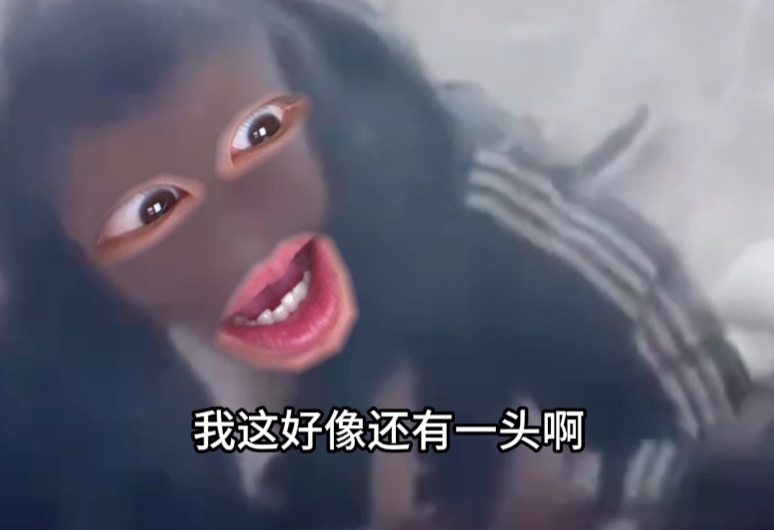 《双方都认为对方是猪》