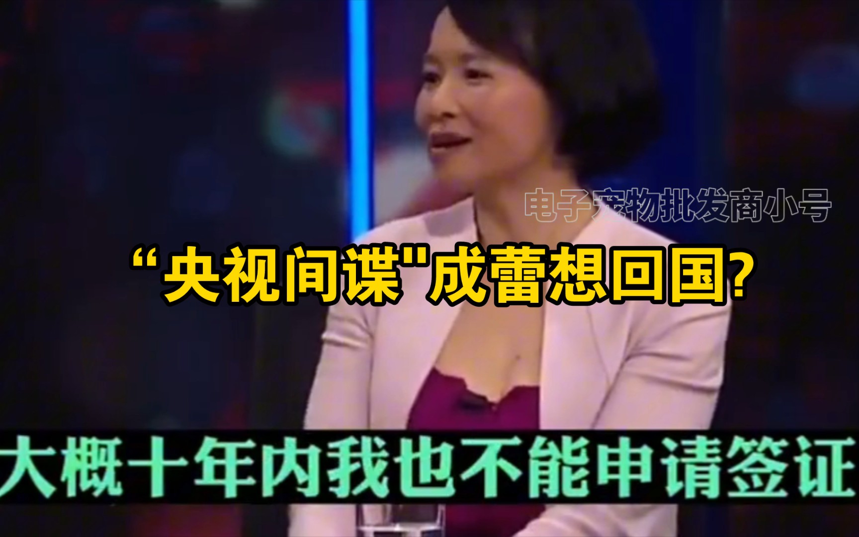 “央视间谍"成蕾,潜伏20年为美澳窃取机密,却因一句口误暴露身份,现在更是想回国,是回国继续潜伏吗?哔哩哔哩bilibili