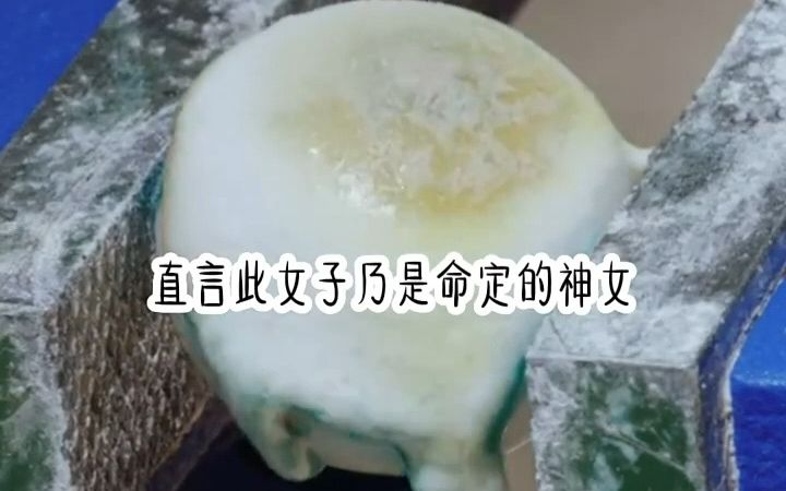 [图]书名：飞升庇护