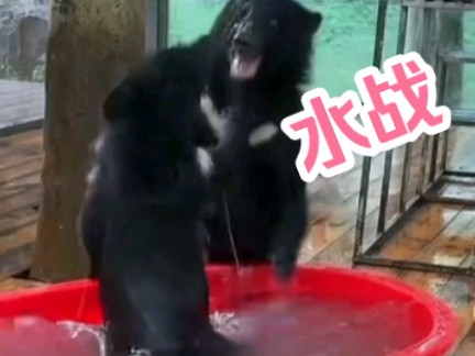 水战哔哩哔哩bilibili