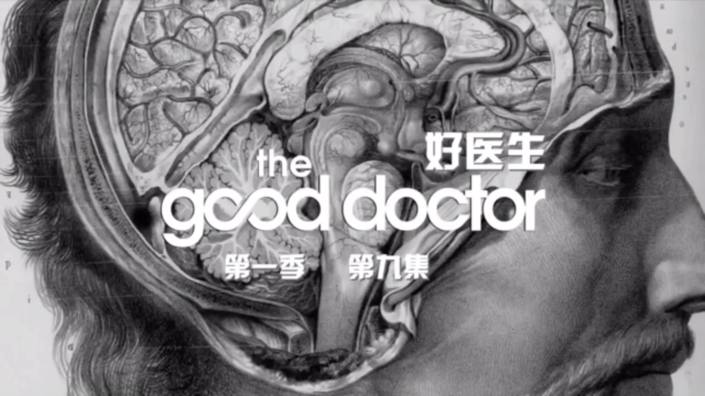 [图]The good doctor良医