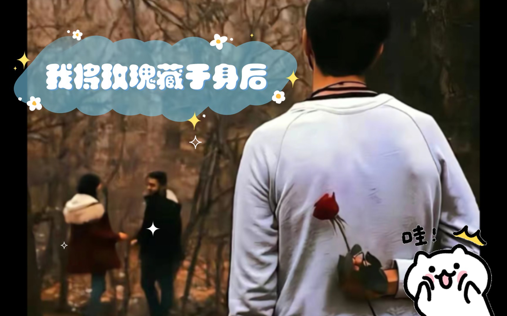 我将玫瑰藏于身后