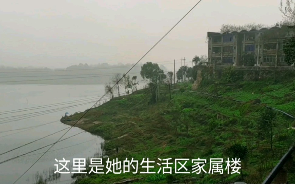 献身大三线为国争光,华光仪器厂,依山傍湖,风景如画哔哩哔哩bilibili