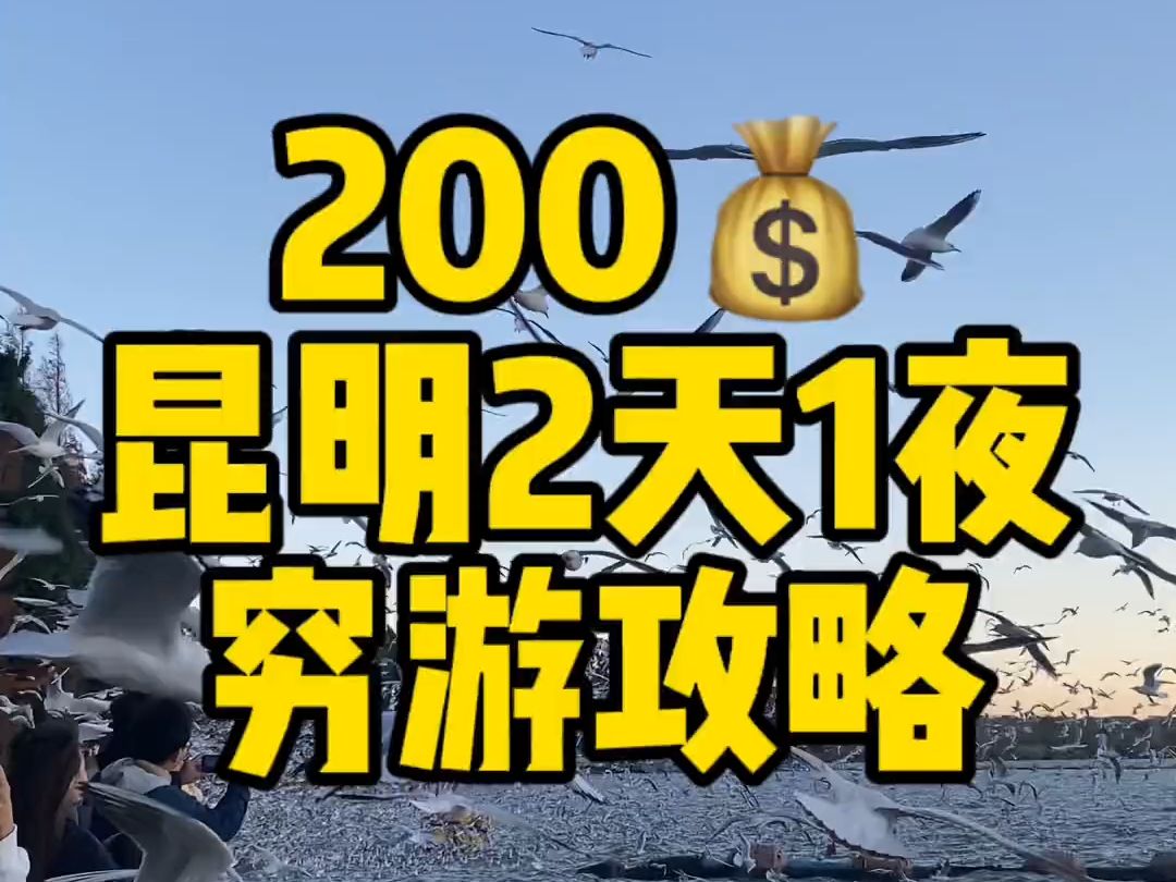 10个人去云南旅游,9个人只会把昆明当成中转站,昆明有很多漂亮的湿地公园,天气也很舒适,物价不高,适合旅游,在昆明吃了好多顿不一样的米线,真...