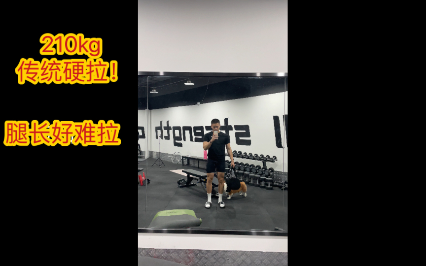 210kg 传统硬拉 腿太长硬拉好难受哔哩哔哩bilibili