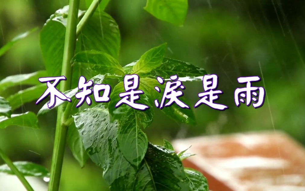 [图]不知是淚是雨