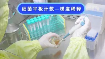细菌平板计数—菌悬液梯度稀释