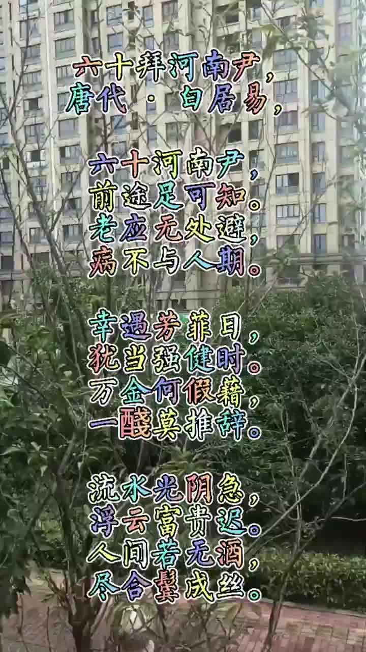 六十拜河南尹白居易诗词分享风景自拍每日打卡#这波是学习时间!哔哩哔哩bilibili