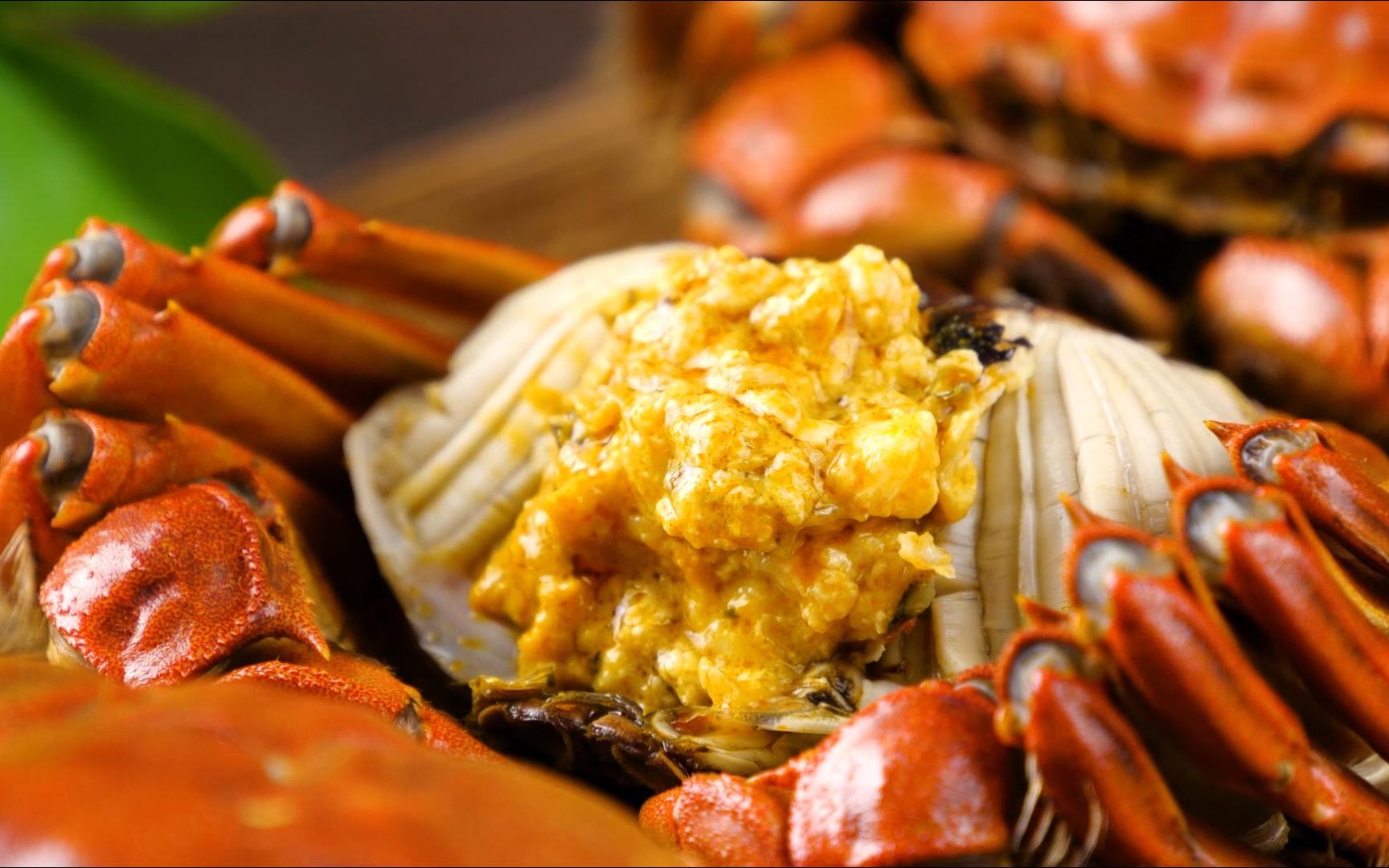 【空镜素材】九月圆脐十月尖,持螯饮酒菊花天——大闸蟹