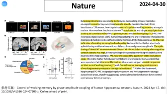 Download Video: Nature—什么因素决定了工作记忆的容量和质量？