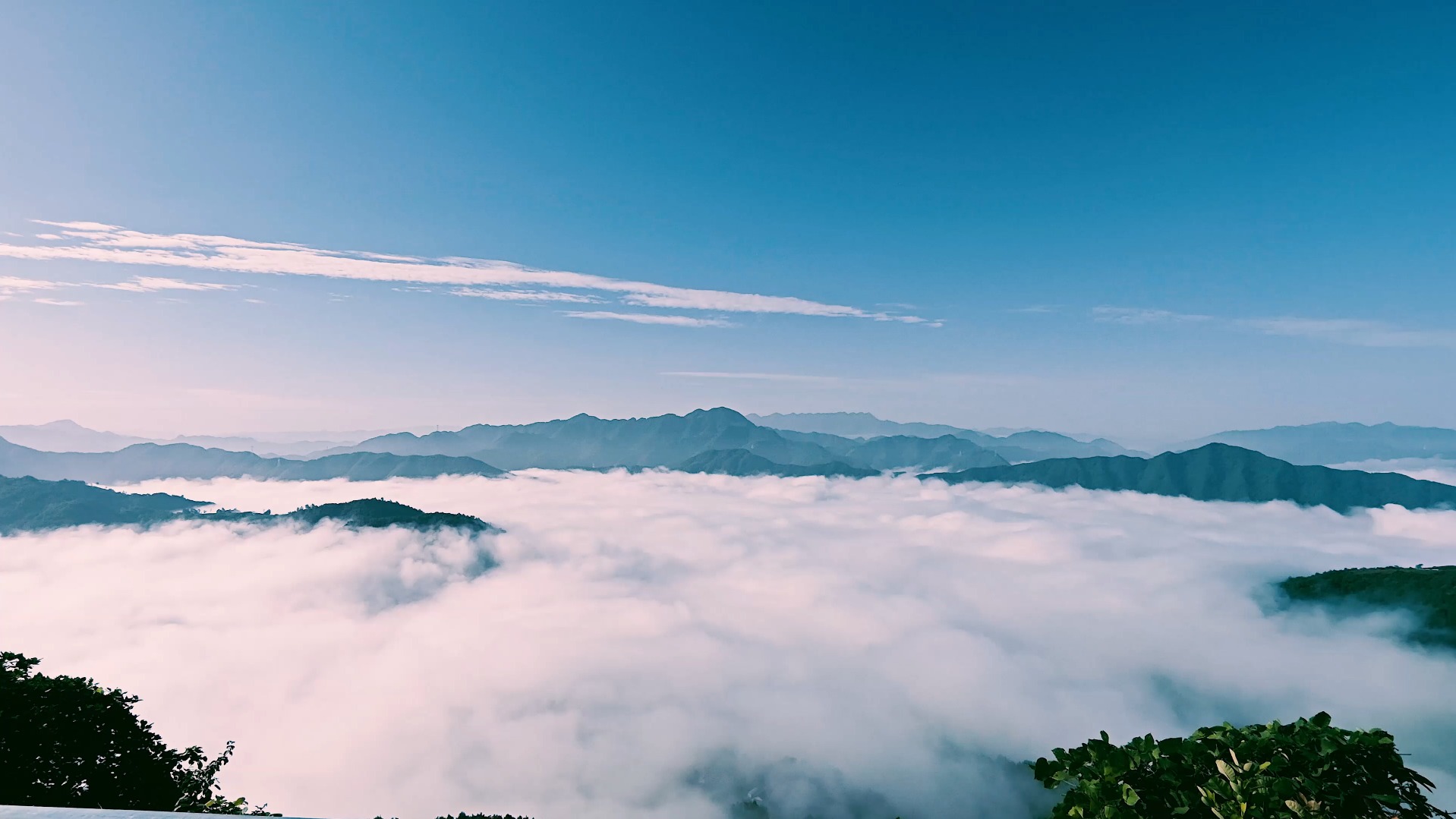 镇安 海棠山云海