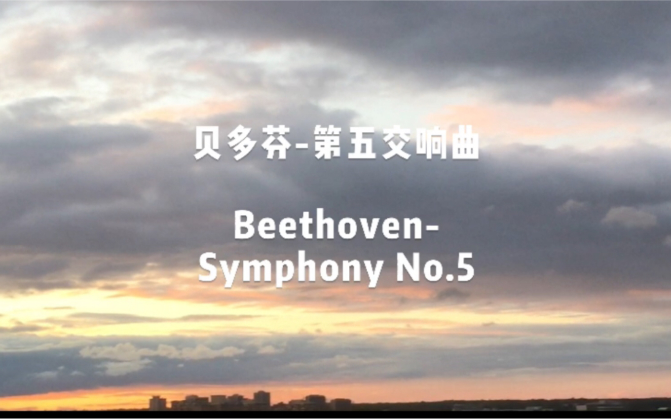 贝多芬第五交响曲 BeethovenSymphony No.5【世界名曲】哔哩哔哩bilibili