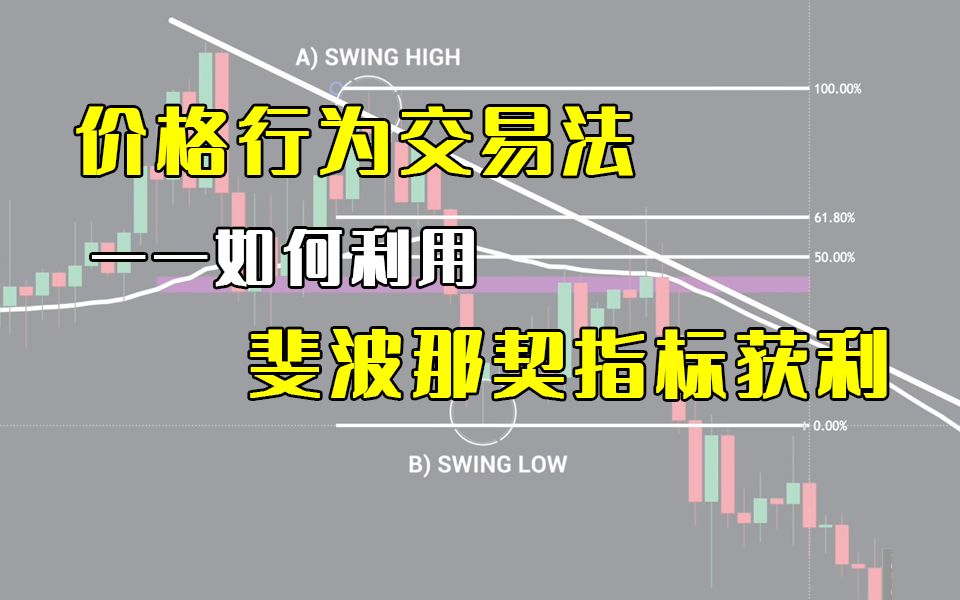 [图]价格行为交易大法——斐波那契指标终极教程