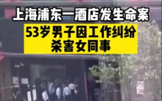 上海浦东一酒店发生命案:53岁男子因工作纠纷杀害41岁女同事哔哩哔哩bilibili