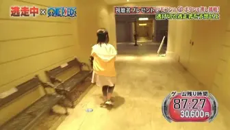 橋本環奈はトラの 赤ちゃんのお世話を 哔哩哔哩 Bilibili