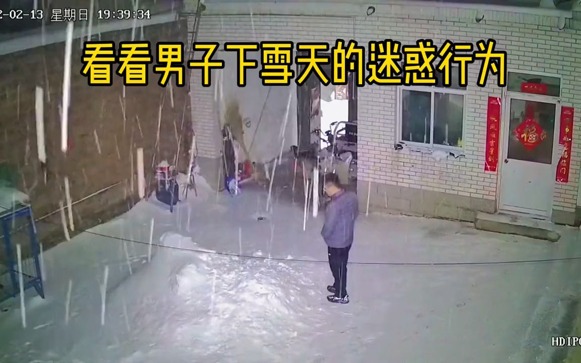 [图]下雪天男子到门外，看雪半天后一头扎进雪堆，旁边狗子看呆了。