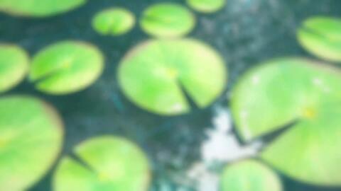 ナイナイ岡村隆史 海から上がるのが怖い 経験談語る Tvcm ｄクリニック東京 あなたの生えたいに寄り添う 15秒篇 哔哩哔哩 Bilibili