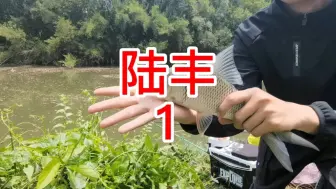 Download Video: 陆丰1！听说这里的土鲮能爆护！