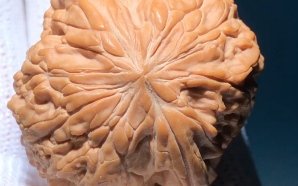 全品暴雪狮子头