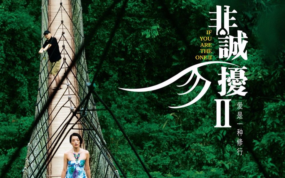 《非诚勿扰2》 英文版 30秒看完