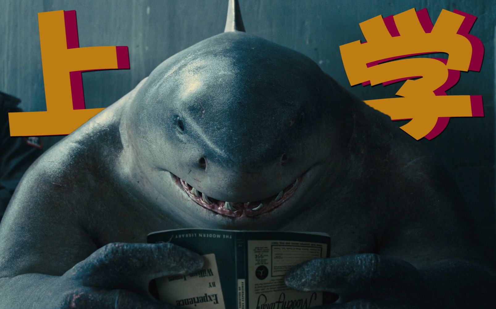 特遣队关我鲨鱼史泰龙什么事儿,我只想上学卖萌而已啊.