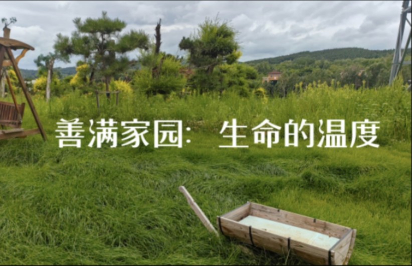 【“思政课学习之星”第八届全国高校大学生马克思主义理论学习夏令营】微课作品:《善满家园:生命的温度》哔哩哔哩bilibili