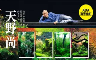 Iaplc世界水草造景大赛 搜索结果 哔哩哔哩 Bilibili