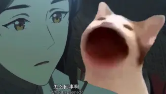 天官赐福popo猫