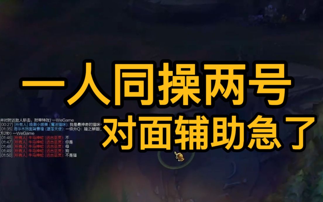 一人同操两个号 直呼下路差距 敌方辅助气急败坏!电子竞技热门视频