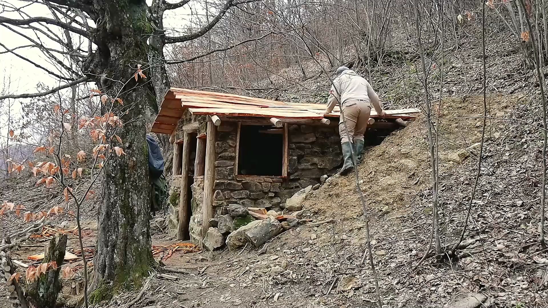 独自在野外搭建一间小木屋生活,荒野建造长视频完整版!哔哩哔哩bilibili