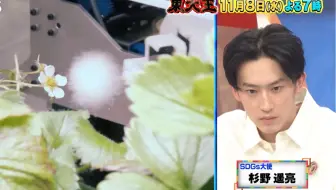 【杉野遥亮】东大王 预告