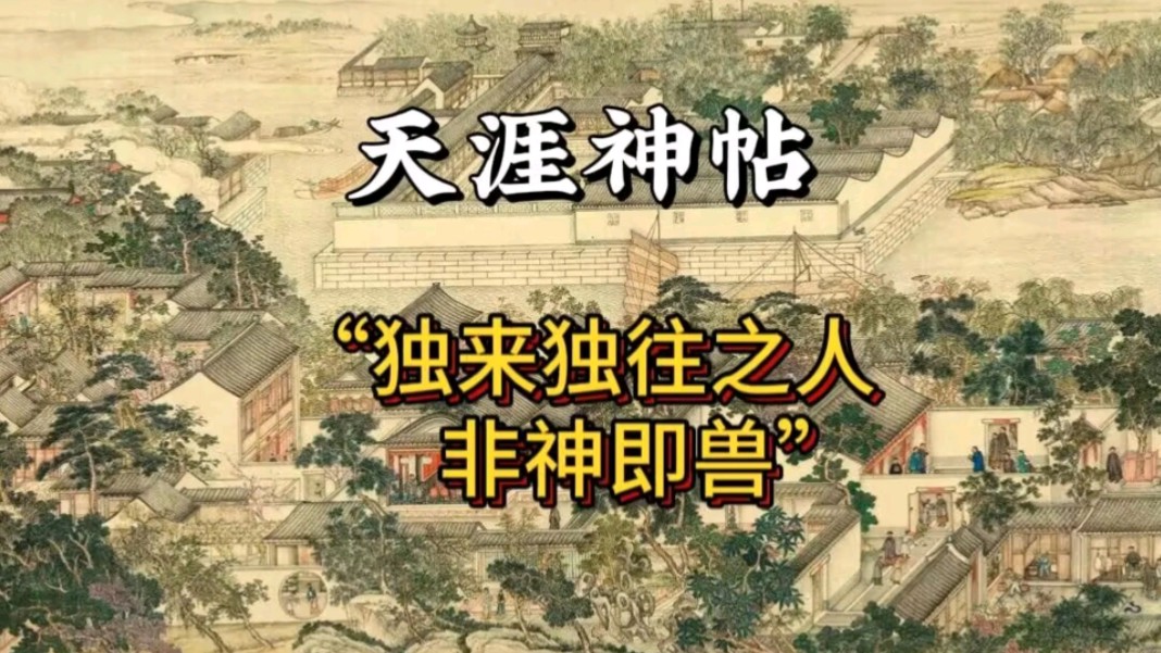 天涯神贴合集:独来独往之人非神非兽哔哩哔哩bilibili