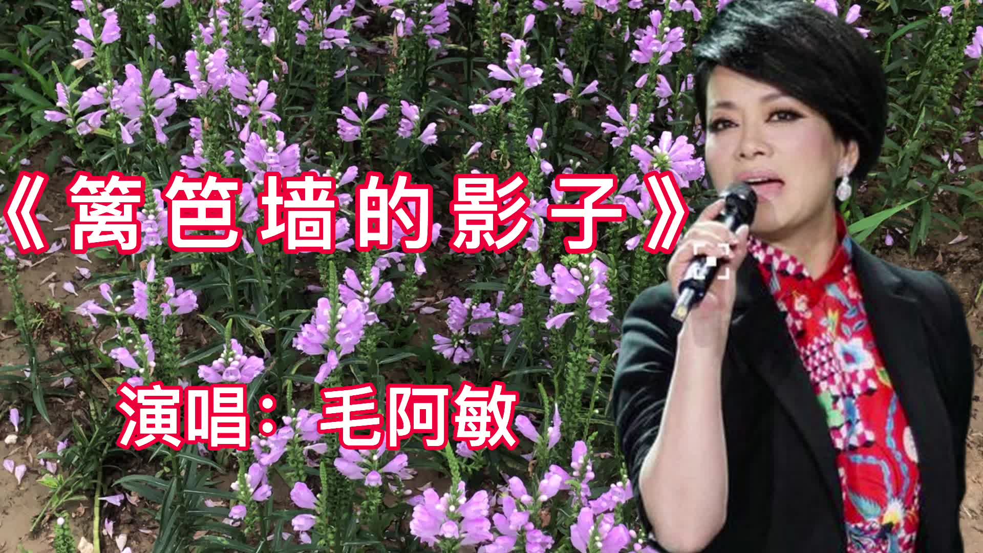 [图]经典怀旧歌曲，毛阿敏演唱的《篱笆墙的影子》歌声大气，满满回忆