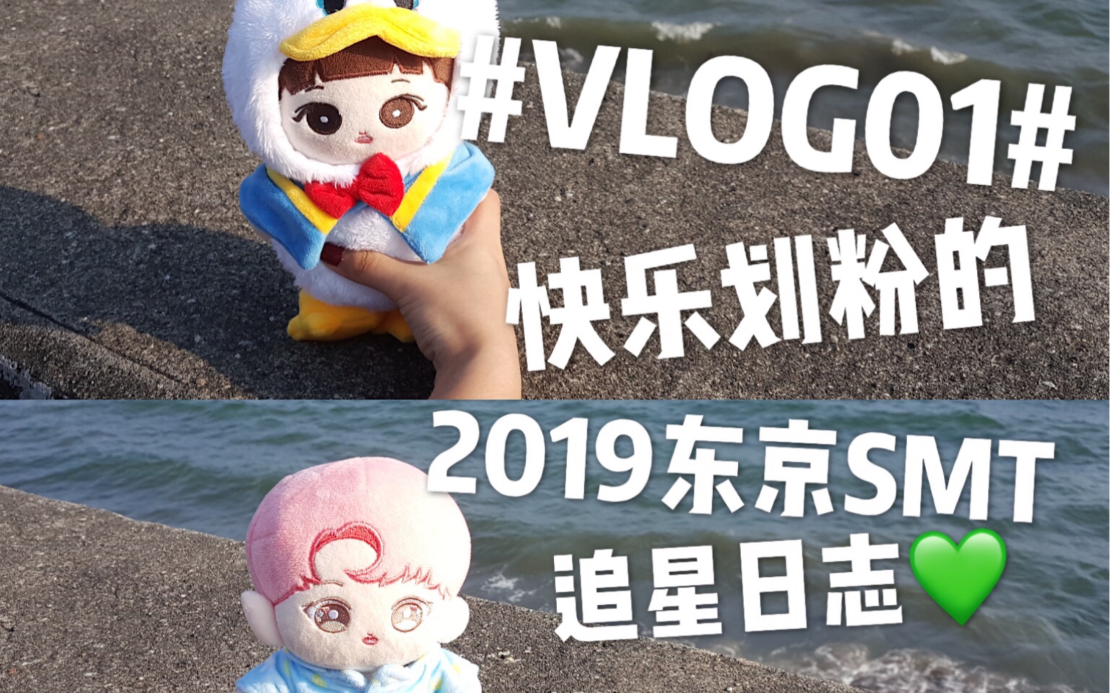 #vlog01#一个本命NCT的快乐SM家族粉的2019东京SMT追星日志(含现场视频)哔哩哔哩bilibili