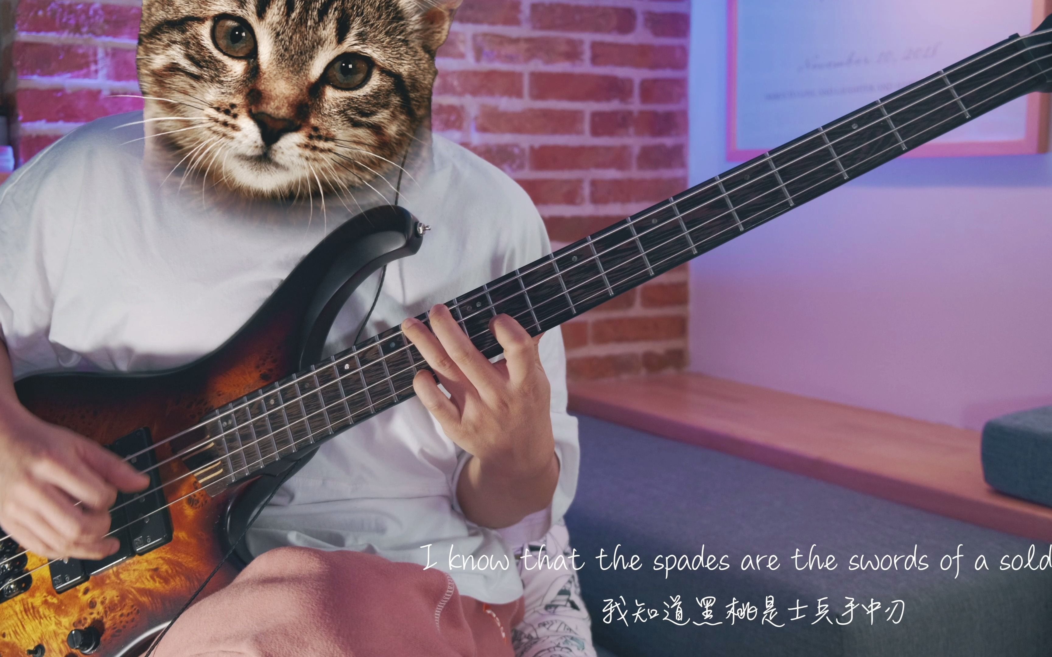 [图]这不是我心的形状，这个杀手不太冷静啊 - Sting - Shape of My Heart (Bass Cover)