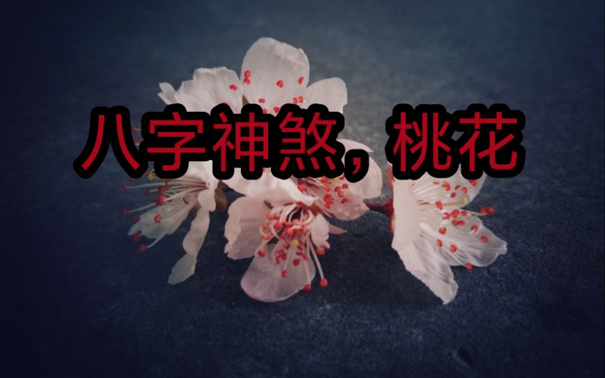 [图][八字神煞]第一课，桃花