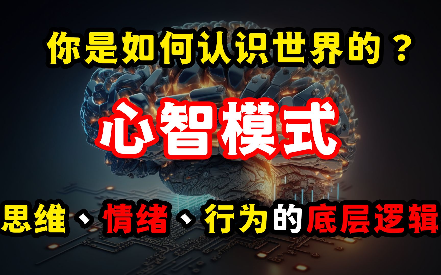 心智模式:决定你思维、情绪、行为的底层逻辑,解读世界的依据!哔哩哔哩bilibili