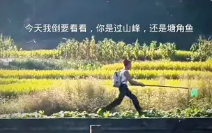 Tải video: 你是过山峰还是塘角鱼