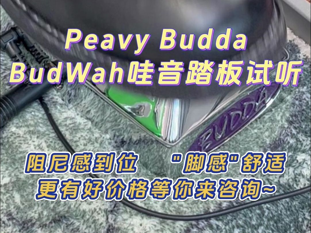 PeaveyBudda这款哇音踏板表现如何,来看看吧~哔哩哔哩bilibili