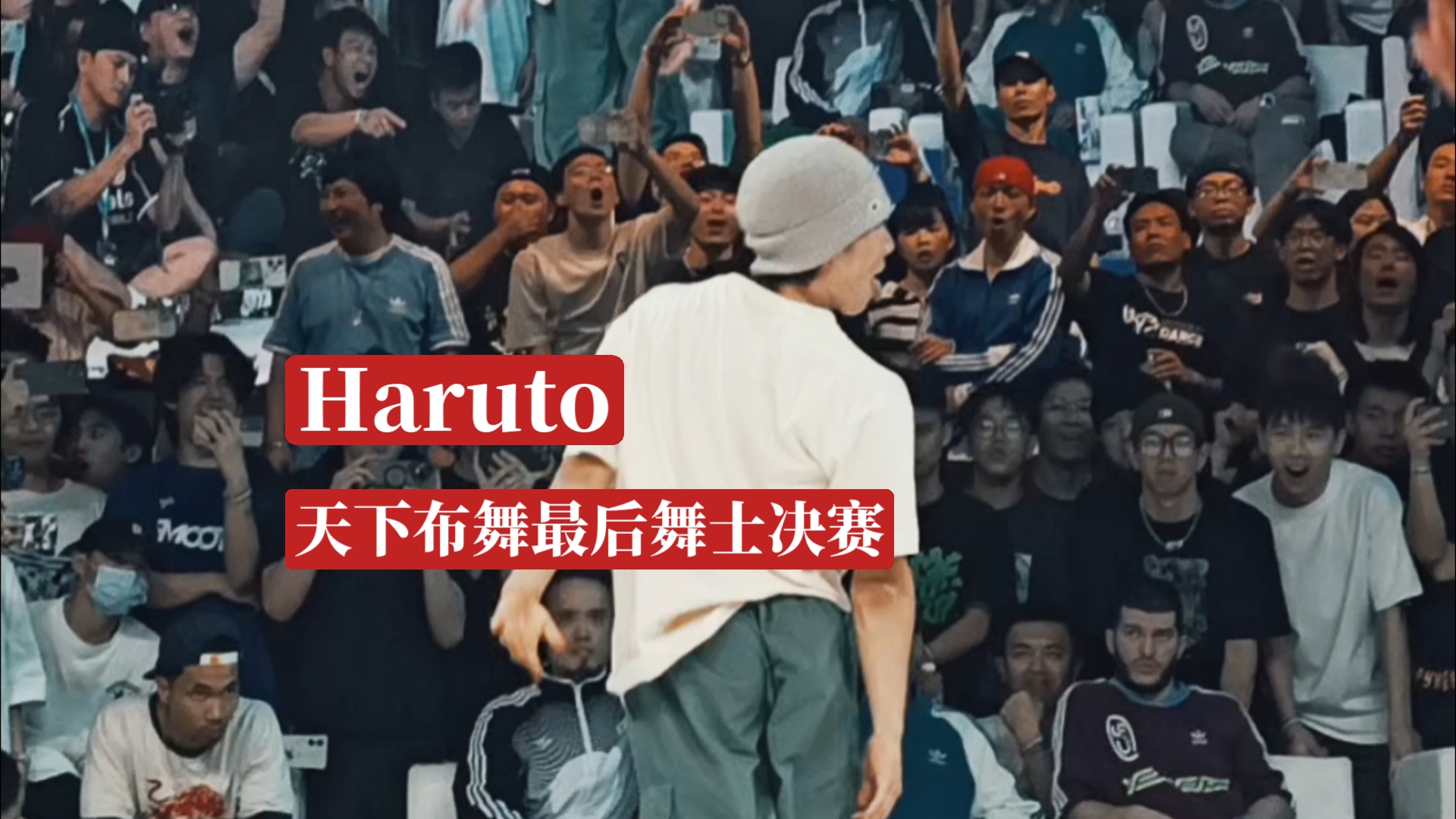 BboyHaruto天下布舞2024最后舞士决赛夺冠!哔哩哔哩bilibili