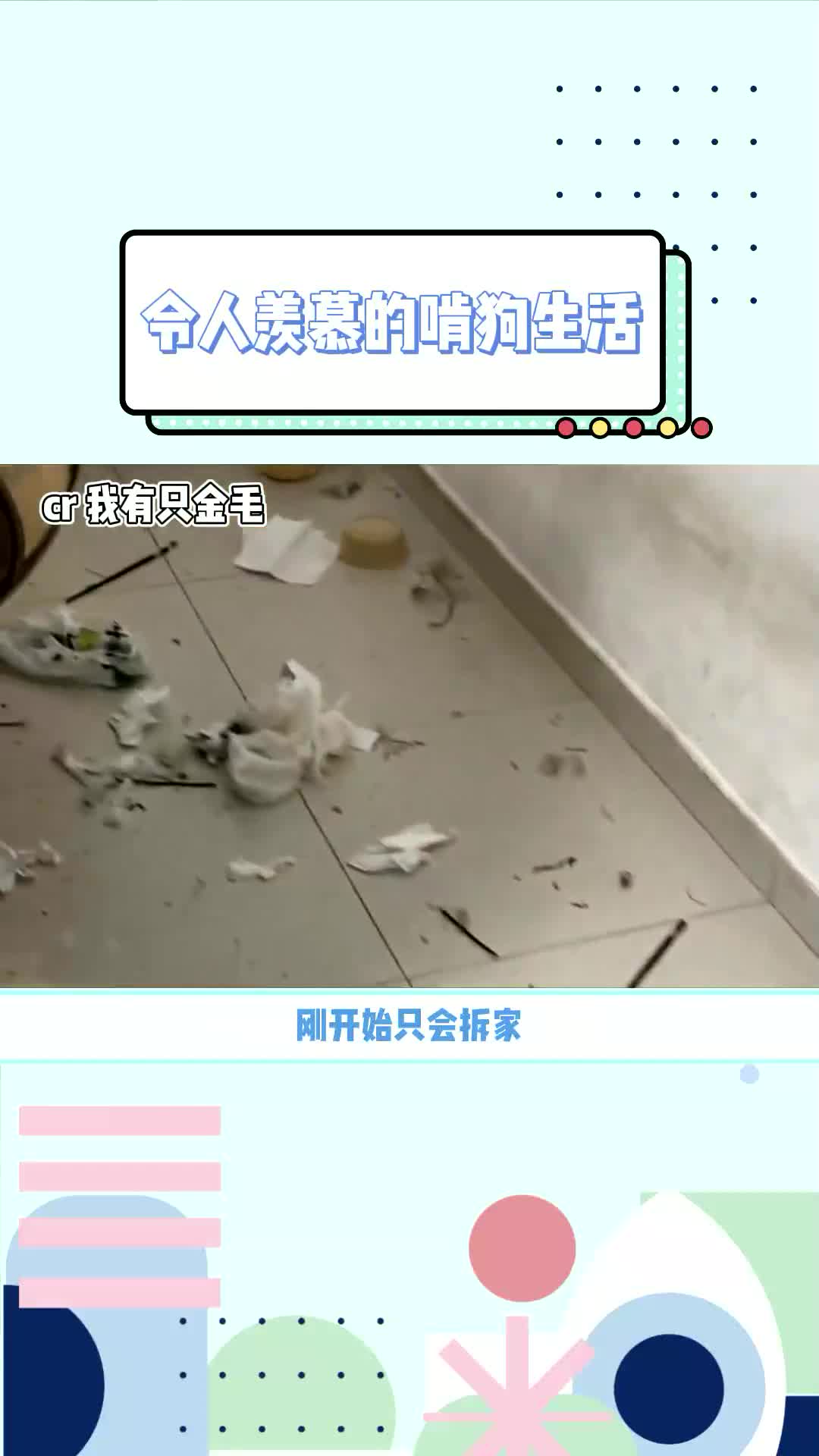 这生活谁不羡慕哔哩哔哩bilibili