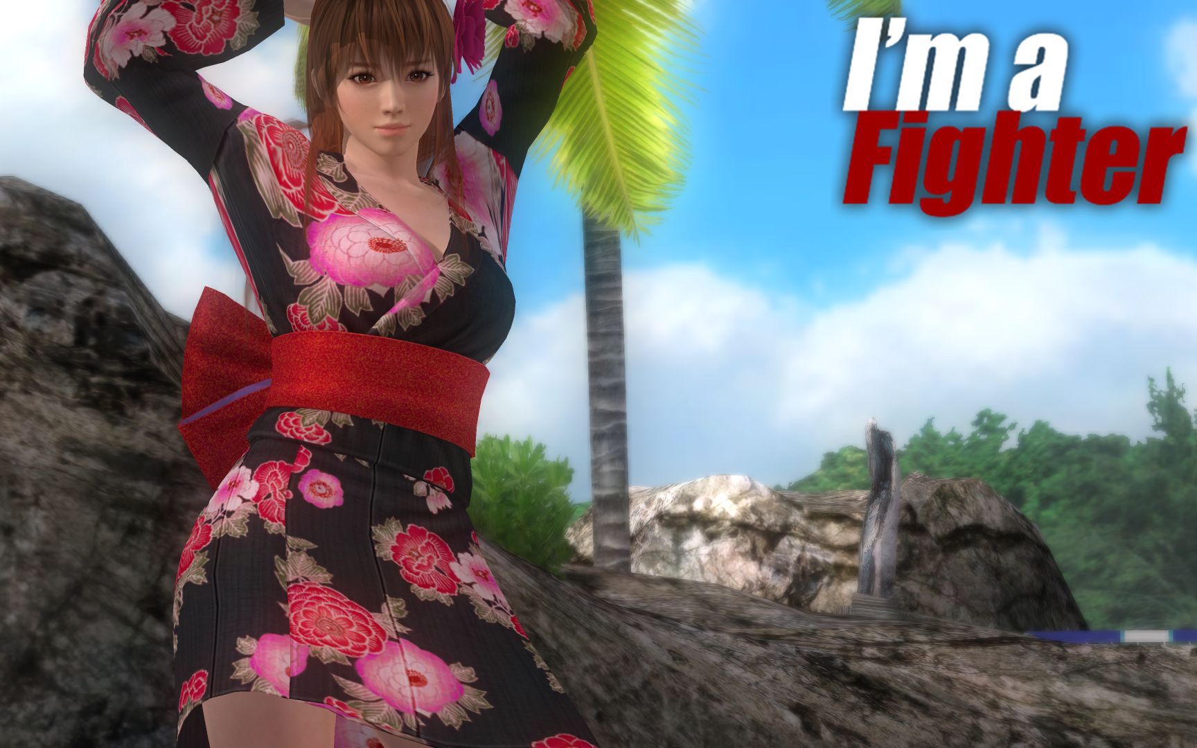 doa5lr瑪麗羅斯phase4霞不知火舞rachel