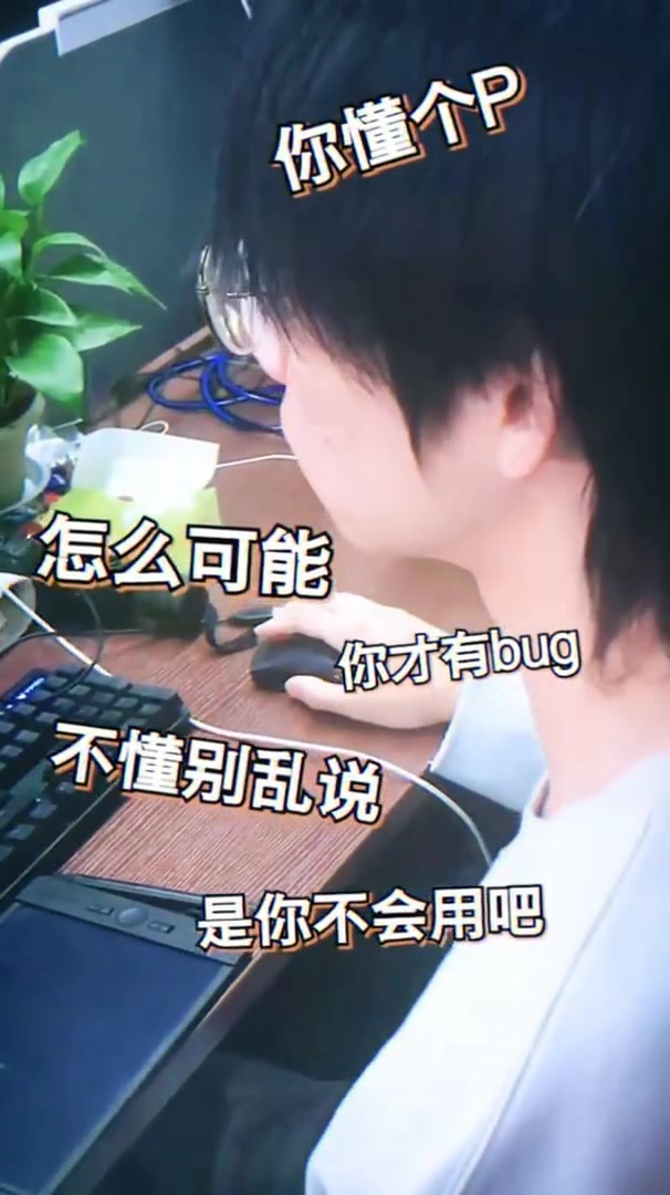 别问我写的程序有没有bug,因为问就是没有╯╰